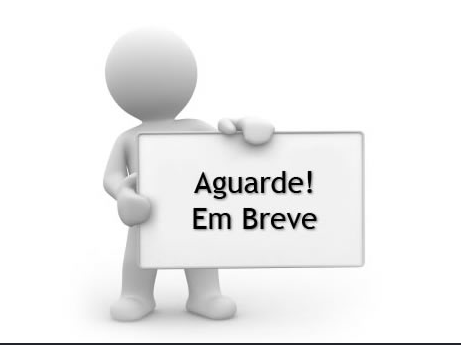 Dominando o Cubo Pocket 2x2